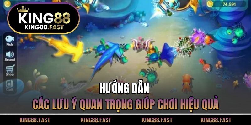 Hướng dẫn các lưu ý quan trọng giúp chơi hiệu quả